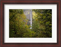 Framed Oregon Waterfall