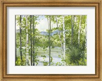Framed Summer Lake III