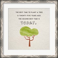 Framed Best Time to Plant a Tree