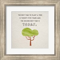 Framed Best Time to Plant a Tree