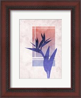 Framed Ombre Bird of Paradise Flower