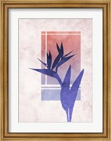 Framed Ombre Bird of Paradise Flower