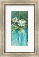 Framed Water Lily Pond II