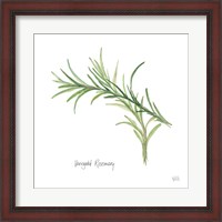 Framed Variegated Rosemary