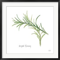 Framed Variegated Rosemary