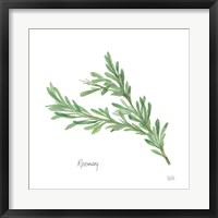 Framed Rosemary