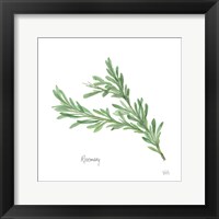 Rosemary Framed Print