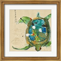 Framed Chentes Turtle Light