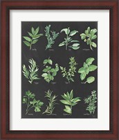 Framed Herb Chart on Black