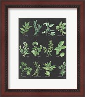 Framed Herb Chart on Black