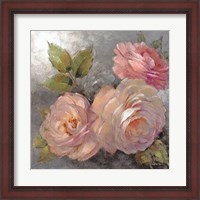 Framed Roses on Gray II