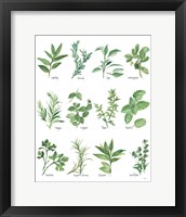 Framed Herb Chart