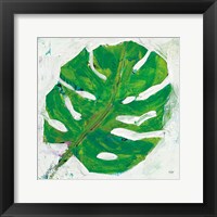 Framed Single Leaf Play on White