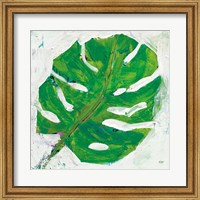 Framed Single Leaf Play on White