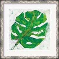 Framed Single Leaf Play on White