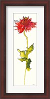 Framed Peony Form Poppies III