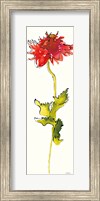 Framed Peony Form Poppies III