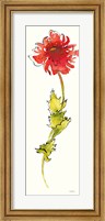 Framed Peony Form Poppies II