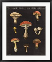 Framed Mushroom Chart II