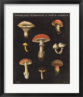 Framed Mushroom Chart II