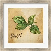 Framed Basil on Burlap