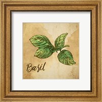 Framed Basil on Burlap