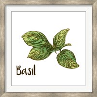 Framed Basil