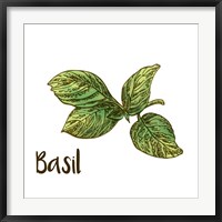 Framed Basil