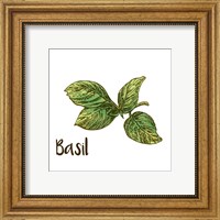 Framed Basil