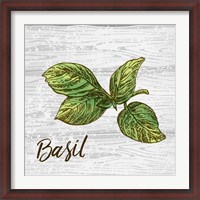 Framed Basil on Wood