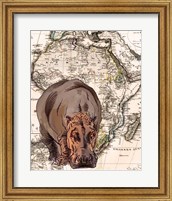 Framed African Hippo