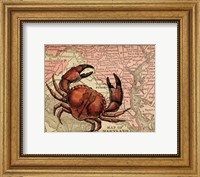 Framed Maryland's Jumbo Crabs