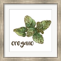 Framed Oregano