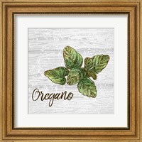 Framed Oregano on Wood