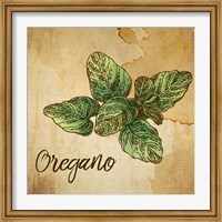 Framed Oregano on Burlap