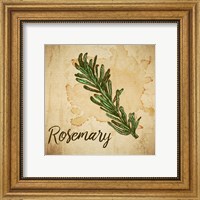 Framed Rosemary on Burlap