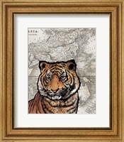 Framed Asian Tiger