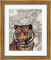 Framed Asian Tiger