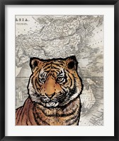 Framed Asian Tiger