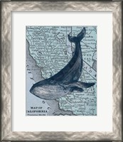 Framed California's Grayback Whale