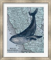 Framed California's Grayback Whale