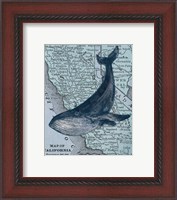 Framed California's Grayback Whale