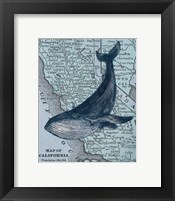Framed California's Grayback Whale