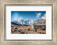 Framed Trekkers and yaks in Lobuche on a trail to Mt Everest