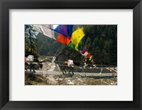 Framed Mule train on trail to Namche Bazaar, Larja Bridge, Khumbu, Nepal