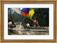Framed Mule train on trail to Namche Bazaar, Larja Bridge, Khumbu, Nepal