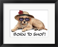 Framed Shop Pup