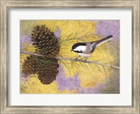 Framed Chickadee in the Pines II