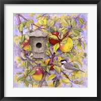 Framed Chickadee & Apples