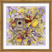 Framed Chickadee & Apples